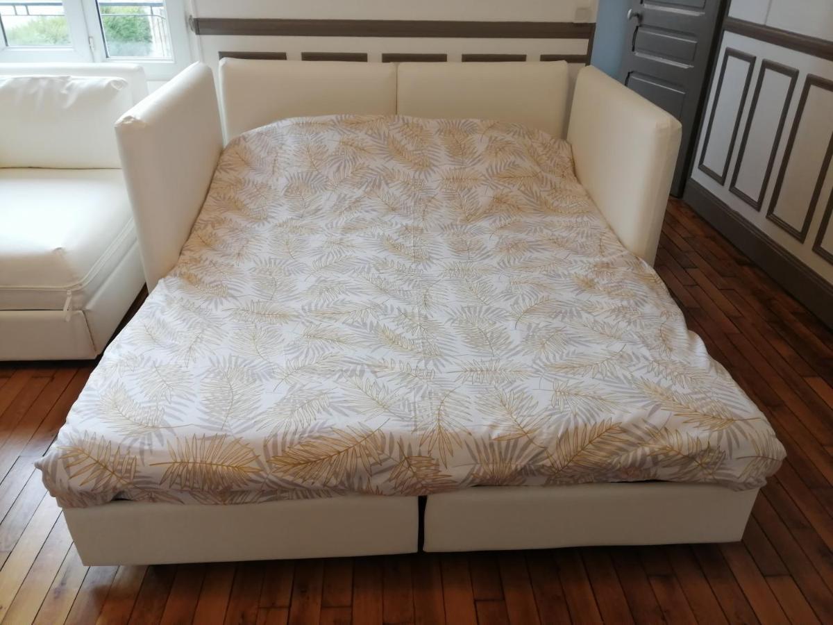 Apartament Agreable 2 Pieces Proche De La Loire Orlean Zewnętrze zdjęcie